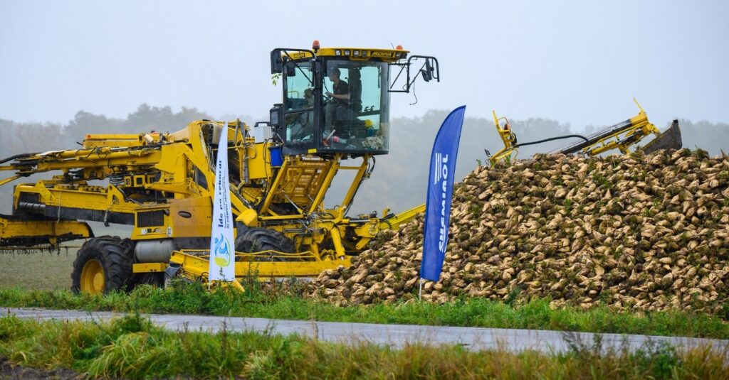 rekord plonu buraka cukrowego